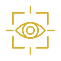 Vision